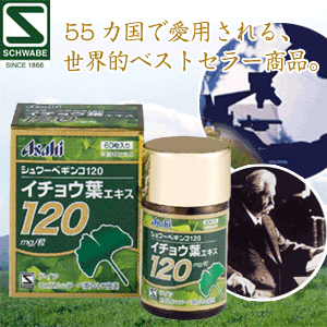 �V�����[�x�M���R120