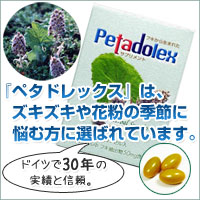 �ԕ��΍�T�v�������g�@�y�^�h���b�N�X