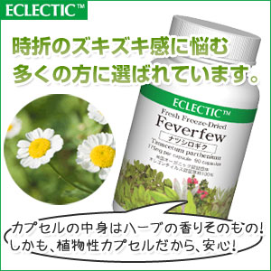 �i�c�V���M�N�T�v�������g