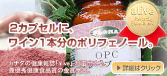 OPC�O���[�v�V�[�h �T�v�������g