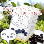 生まれも育ちも確かなビルベリー