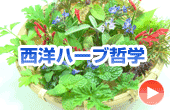 メディカルハーブ哲学