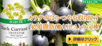 �N���t�T�X�O���� �T�v�������g