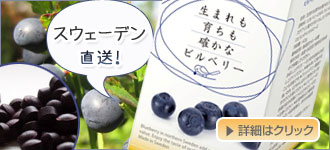 ���܂���炿���m���ȃr���x���[