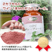 OPC�O���[�v�V�[�h
