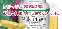 エクレクティックマリアアザミ