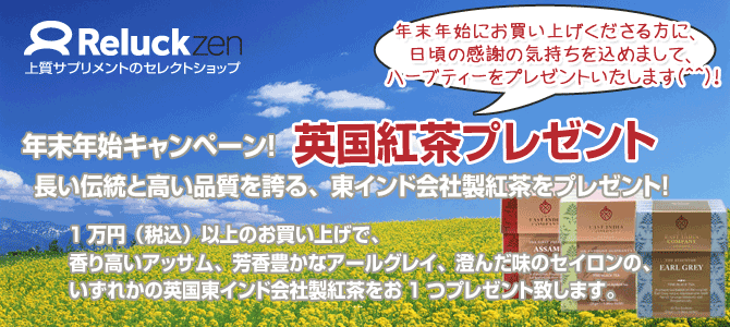 年末年始プレゼントキャンペーン!