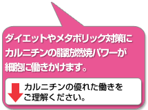 ダイエットやメタボリック対策に、カルニチンの脂肪燃焼パワーが細胞に働きかけます。