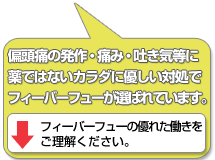 辛い偏頭痛（片頭痛）の痛みの緩和に、フィーバーフューが喜ばれてます。（副作用の心配なし）