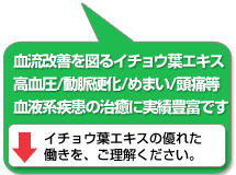 血流改善を図るイチョウ葉。高血圧/動脈硬化/めまい/頭痛等の血液系疾患の治癒に実績豊富です。