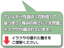 辛いアレルギー性鼻炎（花粉症）の鼻づまり・かゆみの緩和・体質改善に、イラクサが喜ばれてます。（副作用の心配なし）