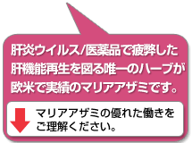 肝炎ウィルス/医薬品で疲弊した肝機能再生を図る唯一のハーブが、欧米で実績のマリアアザミです。