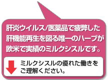 肝炎ウィルス/医薬品で疲弊した肝機能再生を図る唯一のハーブが、欧米で実績のミルクシスルです。