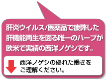 肝炎ウィルス/医薬品で疲弊した肝機能再生を図る唯一のハーブが、欧米で実績の西洋ノゲシです。