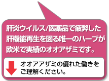 肝炎ウィルス/医薬品で疲弊した肝機能再生を図る唯一のハーブが、欧米で実績のオオアザミです。