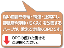 辛い偏頭痛（片頭痛）の痛みの緩和に、フィーバーフューが喜ばれてます。（副作用の心配なし）