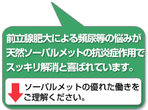 夜間頻尿・トイレの切れが悪い方に天然ノコギリヤシの抗炎症作用が喜ばれてます。（副作用の心配なし）