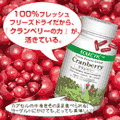 エクレクティッククランベリー