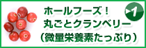 ホールフーズ・クランベリーサプリメント