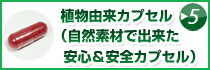 植物由来カプセル