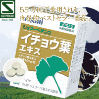 シュワーベ ギンコ