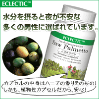 エクレクティック ノコギリヤシ