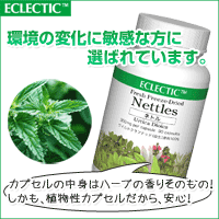 エクレクティック ネトル