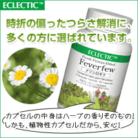 エクレクティック ナツシロギク