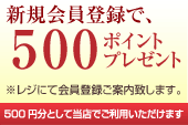 500ポイントプレゼント！